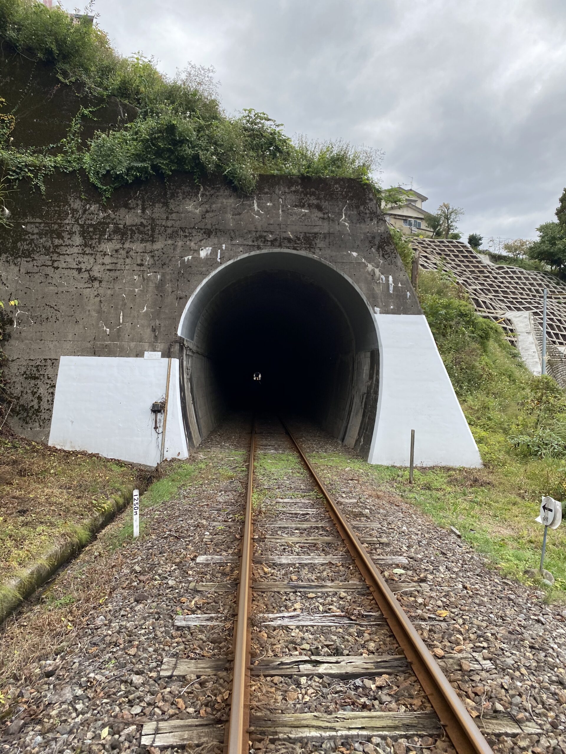 高山 線路 自転車